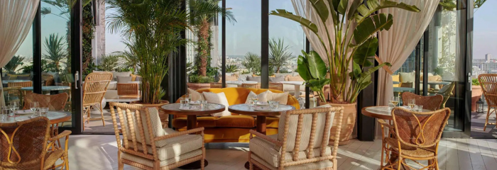 Restaurants Like Amazonico