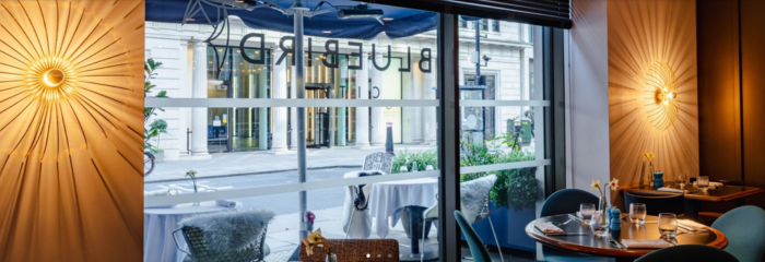 Bluebird Member's Club London Review: Dining, Wellness & Concierge Access